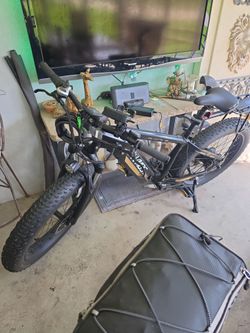 Electric bike