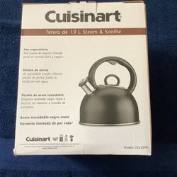 1.9 Teakettle