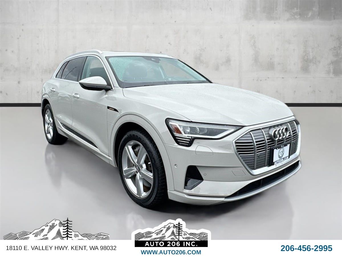 2019 Audi e-tron