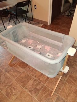 Baby bassinet, bouncer, play gym