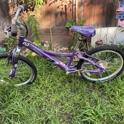 Purple Girls Bike 