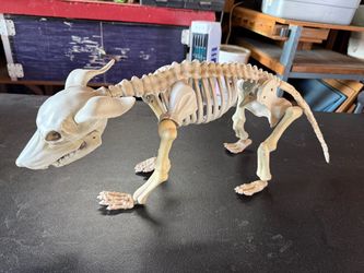 Plastic Dog Skeleton Figure Halloween Decoration