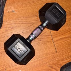25lb Dumbbell 