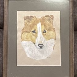 Pre Owned Beautiful Hand Sketched Collie Dog Face In Walnut Wooden Frame Signed