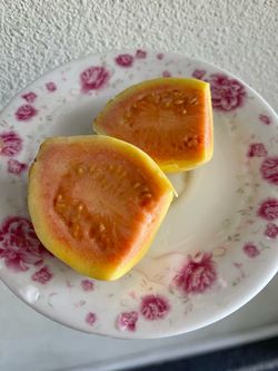 Pink guava plants - $10 EACH PLANT
