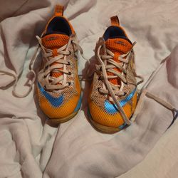 LeBron James Shoes