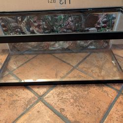 Aquarium  /  Terrarium 