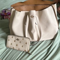 Coach bag and wallet with Leather Cleaner