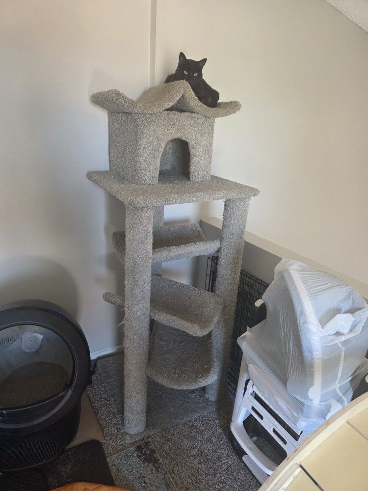 Cat Tree