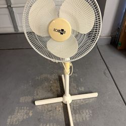 Fan