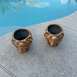 flowerpots with elephant faces 