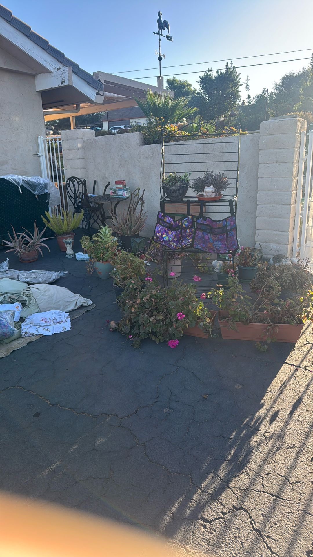 ESTATE SALE-EVERYTHING MUST GO!