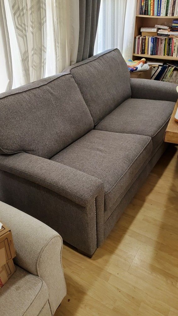 Costco Synergy Sleeper Sofa Baci Living Room