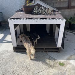 Dog House