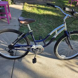 Schwinn Bicycle 