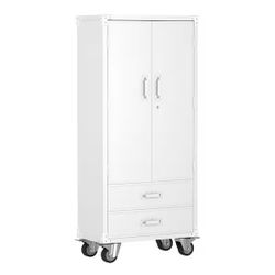 31.5 in. W x 72 in. H x 16.5 in. D Metal Garage Storage Cabinet with Shelves and Drawers