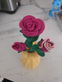 Crochet Buque