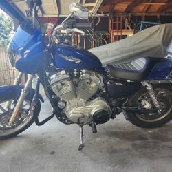 2004 Harley Sportster 883 Harley Sportster 883