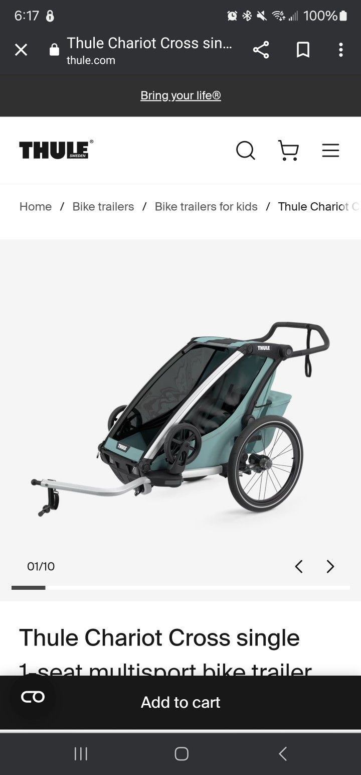 Thule Chariot 1  