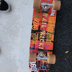 Big Wheel Skateboard 