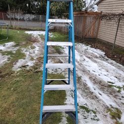 6:Foot Fiberglass Ladder 