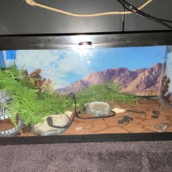 Fish Tank/ Terrarium 