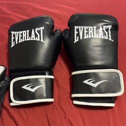 Everlast Boxing Gloves 