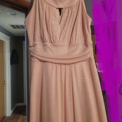 Pale Pink W/glitter Dress