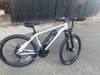 Electric bike