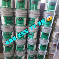 Paint For Sale 