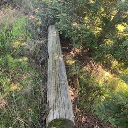 Telephone Pole