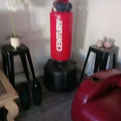 Punch Bag