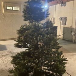 Christmas Tree And outdoor Decorations