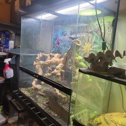 XXL Reprile Tank (Paludarium)