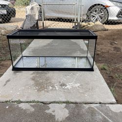 fish or reptile tank 