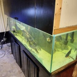 125gallon Fish Tank 