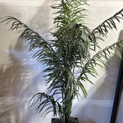Artificial Plant Used Indoor. 