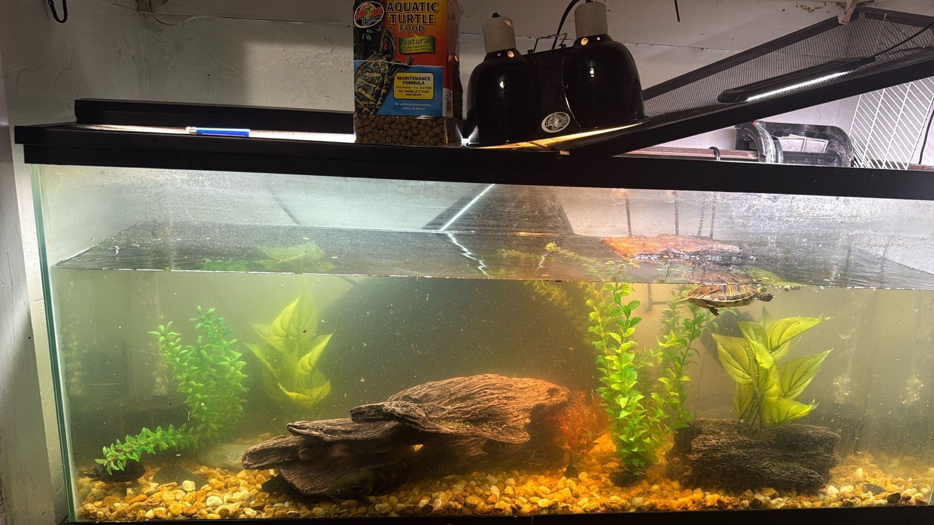 Fish Tank