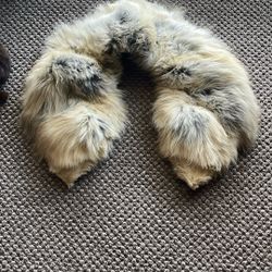 Authentic Fur Colors