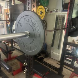 ROGIE BELLA BAR ,2- 10 LBS BUMPER PLATES AND MINI JACK