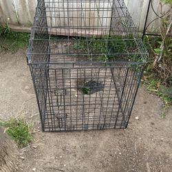 Dog Cage $10