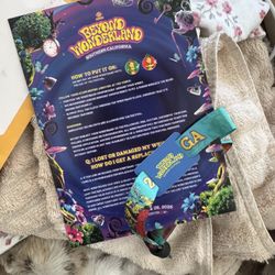 BEYOND WONDERLAND 2026