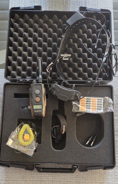 Dogtra 1900s e-collar