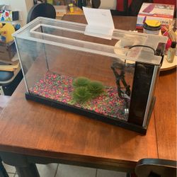 Fluval Spec All In One Fish Tank 5gal *needs New Pump*