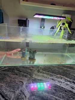 6 gallon fish tank