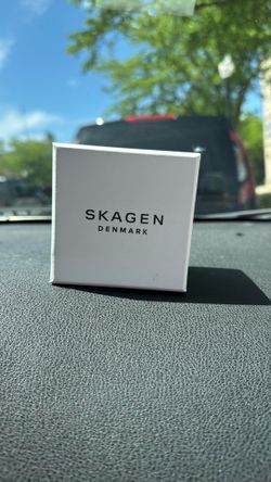 Skagen Signatur Minimalist Stainless Steel Watch for Men