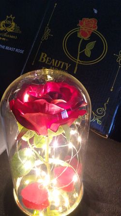 Beauty and the beast 🌹