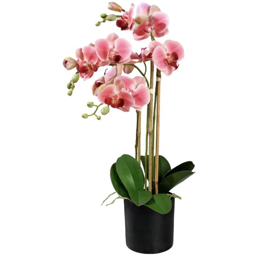 3 Pink Realistic Phalaenopsis Orchids in Black Plastic Pot, Artificial Potted Flowers 