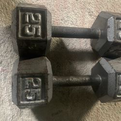 25 Pound Dumbbells 