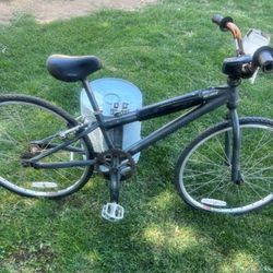 Specialized Hemi Micro Mini